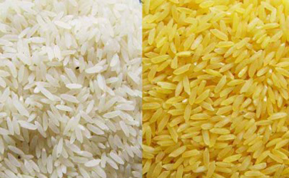 امید هندی‌ها به افزایش صادرات برنج باسماتی به ایران