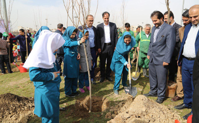 کاشت نهال در 150 مدرسه بخش مرکزی شهر تهران انجام شد