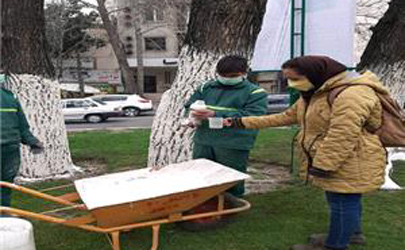 آفت درختان نارون در شمال تهران کنترل شد