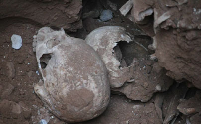 جزییات تازه از پیدا شدن استخوان های قدیمی در تبریز
