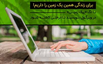 آغاز کمپین محیط زیستی بانک ایران زمین/ با نوشتن، درخت بکار!
