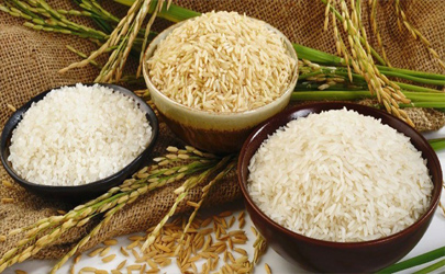 دلایل گرانی قیمت برنج/ خسارت سیل به تولید برنج جدی نیست