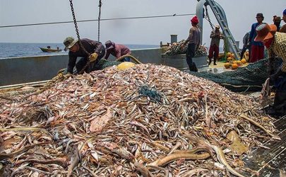 حضور غیرقانونی صیادان و ماهی‌گیران چینی در آب‌های ایران  