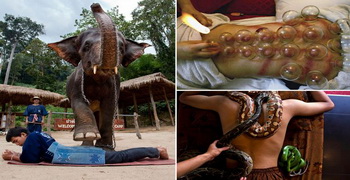 عجیب‌ترین روش‌های درمانی/ فیل درمانی / یونجه درمانی+ تصاویر