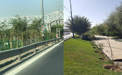 توسعه فضاهای سبز شهری با مشارکت شهروندان شمال تهران