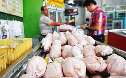 تشریح جزئیات توزیع مرغ تنظیم بازاری در تهران