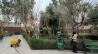 پرونده های گیاه پزشکی درختان کهنسال در بخش مرکزی شهر تهران تکمیل شد