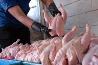 صادرات گوشت مرغ و احشاء آن آزاد شد