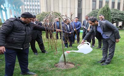 مدیران بانک صادرات ایران در روز درختکاری نهال غرس کردند